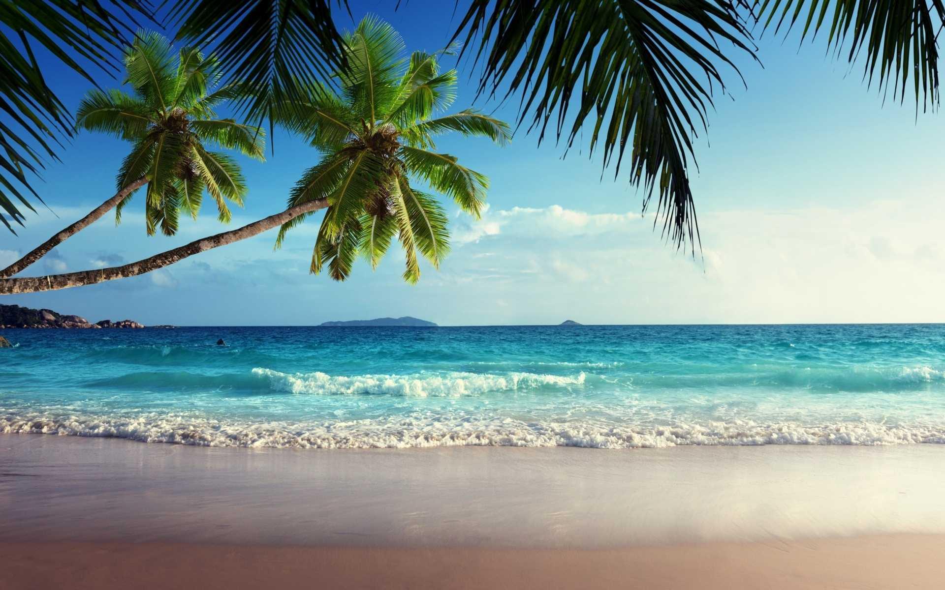 140+ Tropical HD Wallpapers and Backgrounds