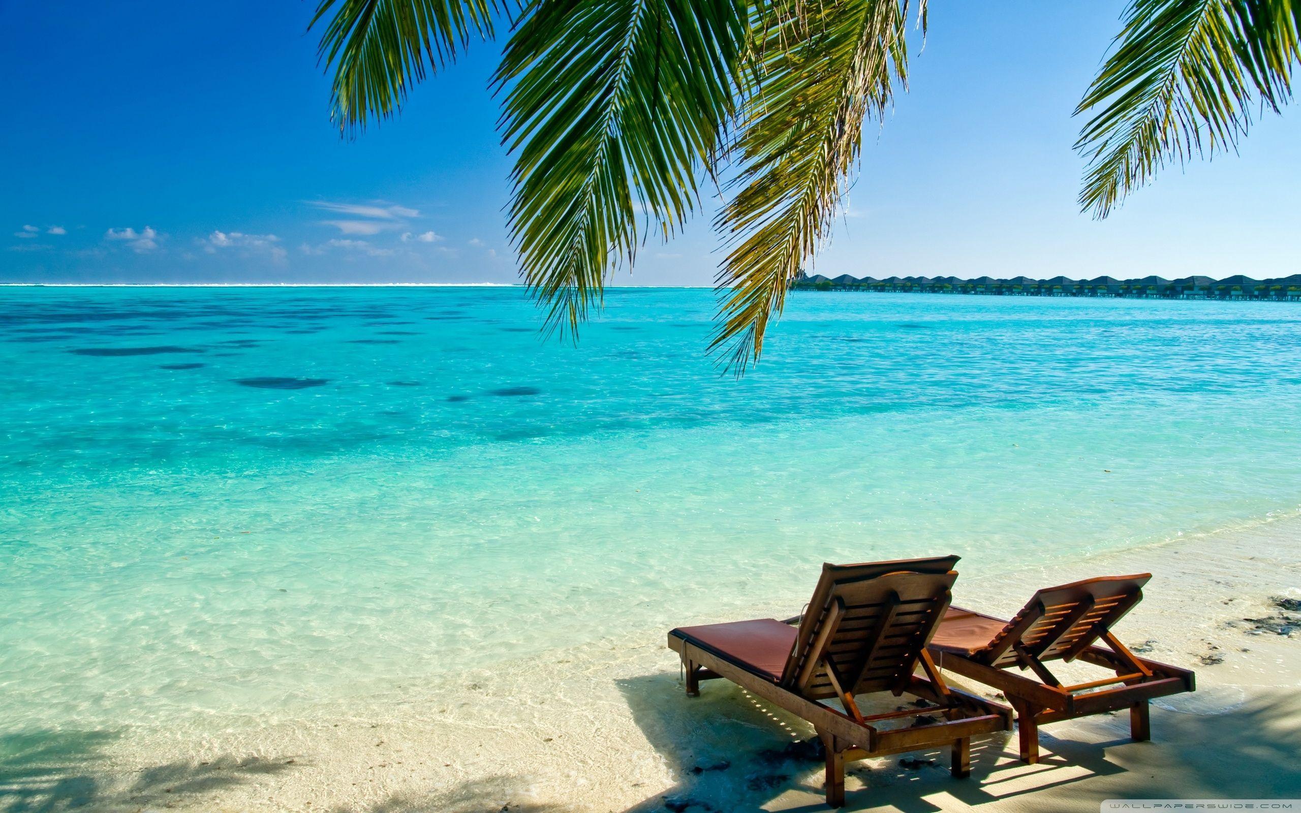 Summer Tropical Vacation HD Wallpaper Desktop 4k