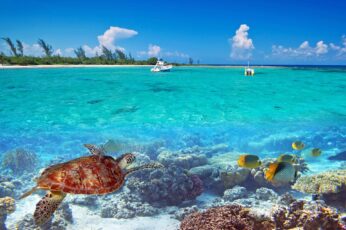 Summer Tropical Vacation HD Wallpaper Download