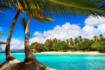 Summer Tropical Vacation HD Wallpaper For Pc