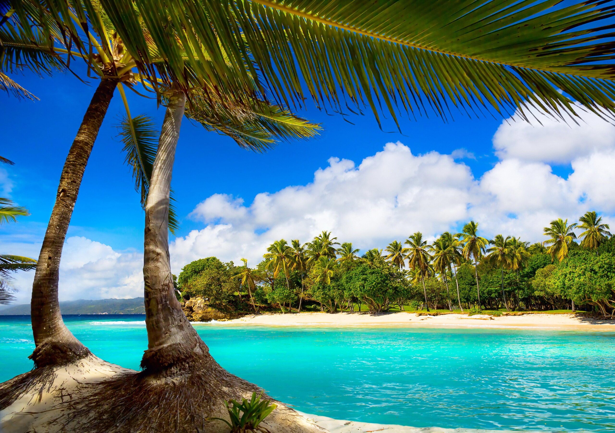 Summer Tropical Vacation HD Wallpaper For Pc