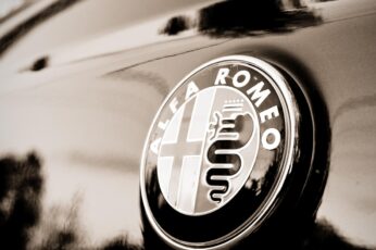 Alfa Romeo Logo 4k Hd Wallpapers Free Download