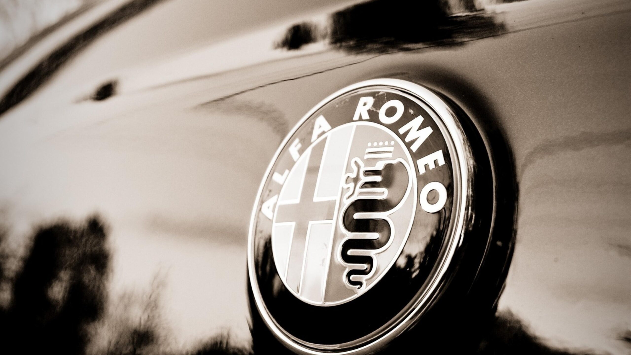 Alfa Romeo Logo 4k Hd Wallpapers Free Download