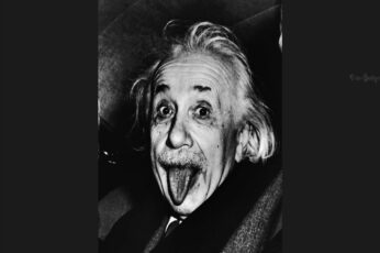 Albert Einstein Windows 11 Wallpaper 4k