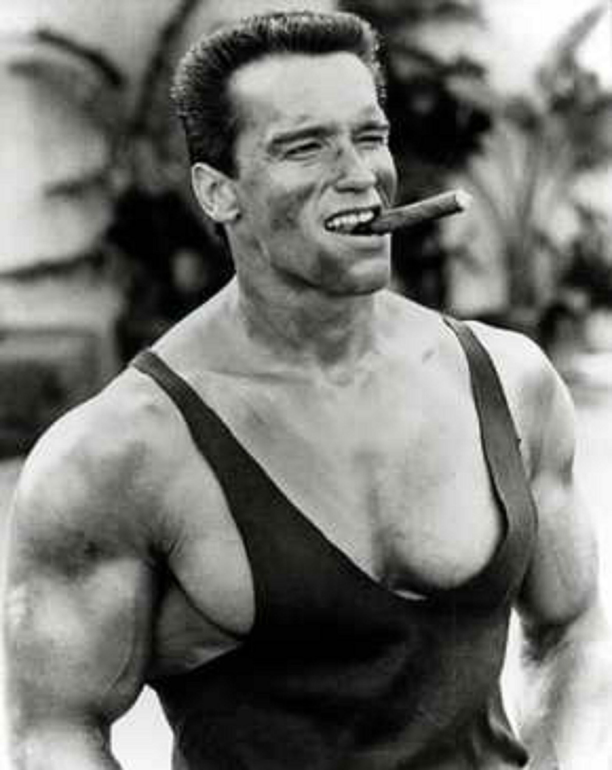 Arnold Schwarzenegger 4k Wallpapers, Arnold Schwarzenegger, Celebrities