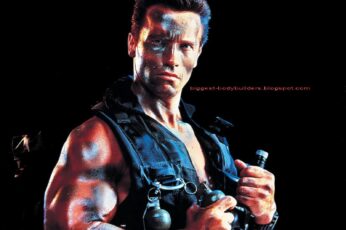 Arnold Schwarzenegger Hd Wallpaper 4k For Pc