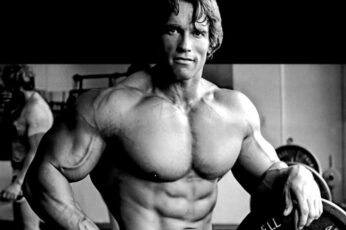 Arnold Schwarzenegger Wallpaper 4k Pc