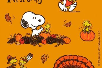 Cartoon Thanksgiving ipad wallpaper