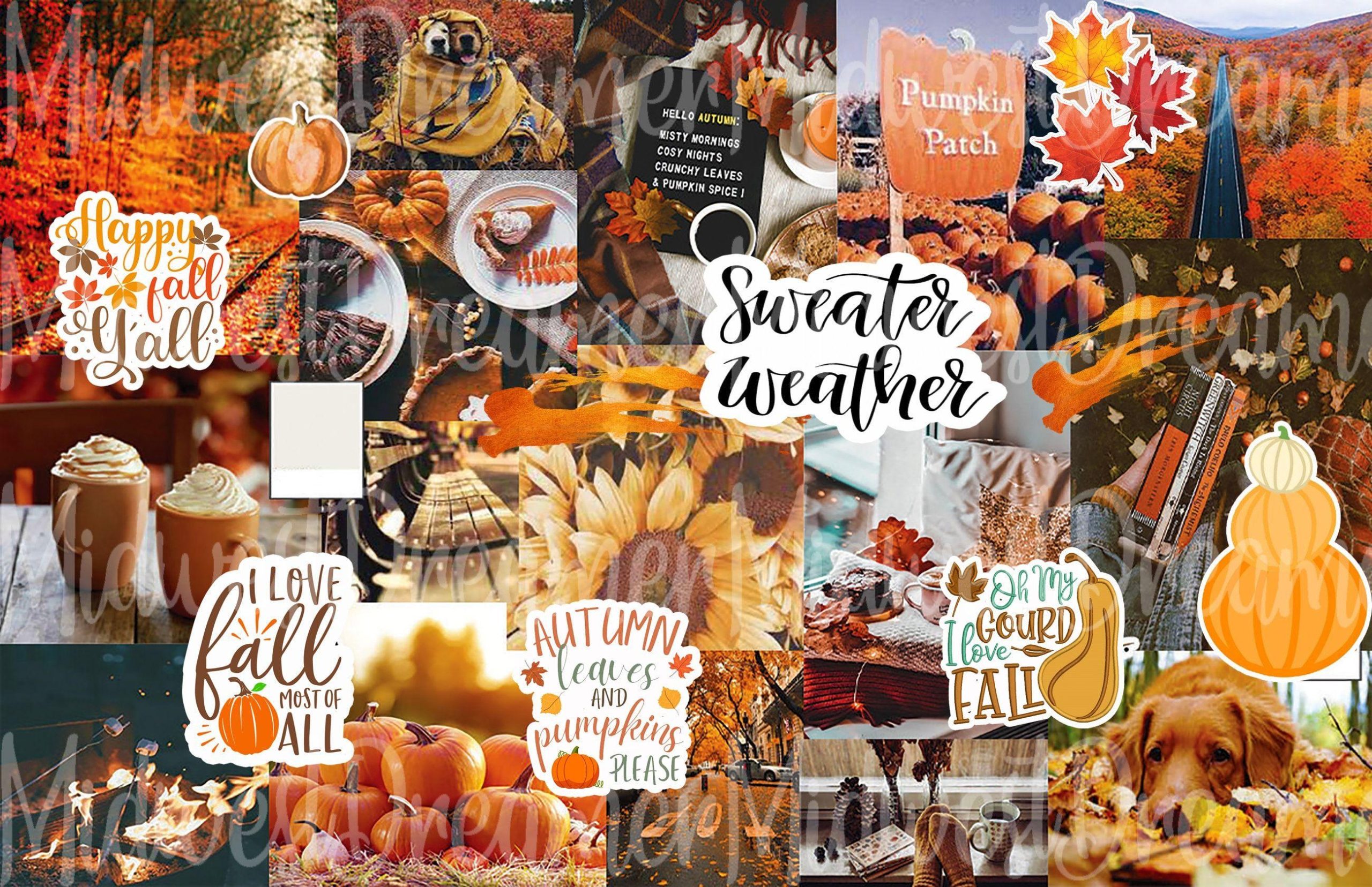 Collage Thanksgiving Best Hd Wallpapers, Collage Thanksgiving, Holidays