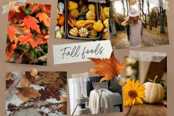 Collage Thanksgiving Hd Best Wallpapers
