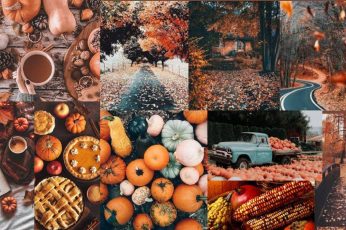 Collage Thanksgiving Hd Full Wallpapers
