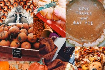 Collage Thanksgiving Hd Wallpaper