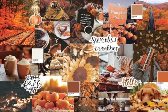 Collage Thanksgiving Iphone wallpaper 4k