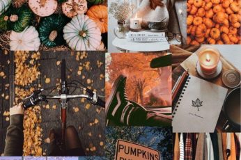 Collage Thanksgiving Wallpaper Download