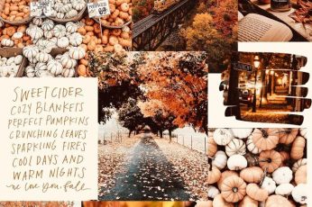 Collage Thanksgiving wallpaper for phone