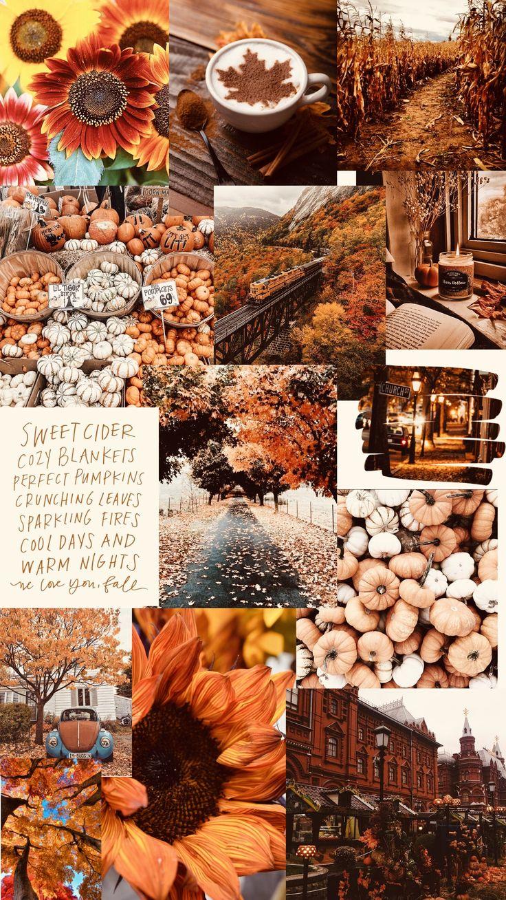 Collage Thanksgiving Wallpaper For Phone - Wallpaperforu