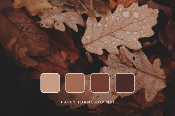 Cute Thanksgiving Desktop Iphone wallpaper 4k