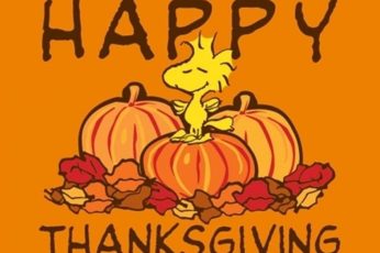 Happy Thanksgiving 2023 Hd Best Wallpapers