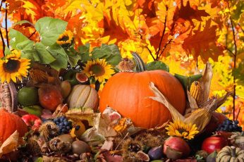 Happy Thanksgiving 2023 Hd Wallpapers For Laptop