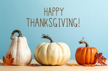 Happy Thanksgiving 2023 Hd Wallpapers For Pc 4k