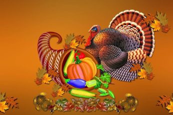 Happy Thanksgiving Turkey 4k Wallpapers