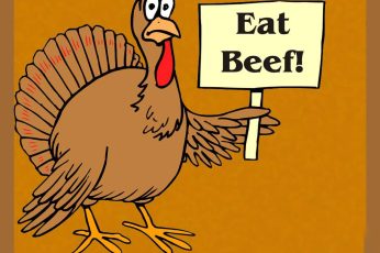 Happy Thanksgiving Turkey Desktop Wallpaper