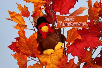 Happy Thanksgiving Turkey Desktop Wallpaper Hd