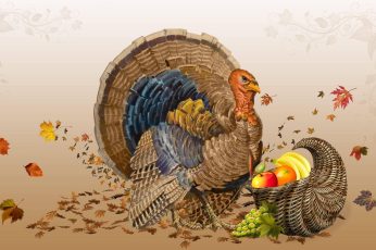 Happy Thanksgiving Turkey Full Hd Wallpaper 4k