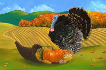Happy Thanksgiving Turkey Hd Wallpaper
