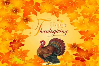 Happy Thanksgiving Turkey Pc Wallpaper 4k