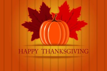 Happy Thanksgiving Turkey Wallpaper 4k Pc