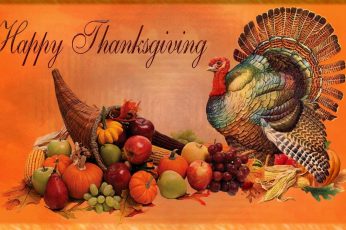 Happy Thanksgiving Turkey cool wallpaper