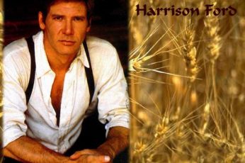 Harrison Ford Pc Wallpaper 4k