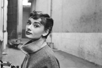 Katharine Hepburn 1080p Wallpaper