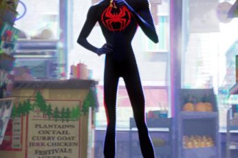 Miles Morales Spider-Man Across The Spider-Verse Desktop Wallpaper