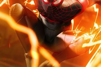 Spider-Man And Miles Morales Wallpaper Hd