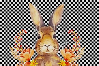 Thanksgiving Bunny Hd Wallpaper