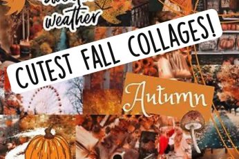 Thanksgiving Collages Free 4K Wallpapers