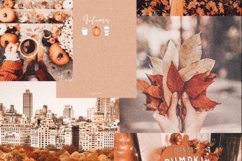 Thanksgiving Collages Wallpapers
