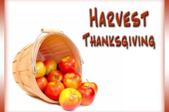 Thanksgiving Harvest 4k Wallpaper