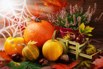 Thanksgiving Harvest Free Desktop Wallpaper