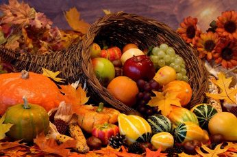 Thanksgiving Harvest Hd Wallpaper