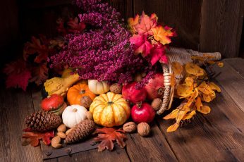 Thanksgiving Harvest Hd Wallpapers For Pc