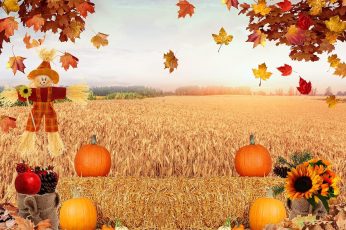 Thanksgiving Harvest Laptop Wallpaper