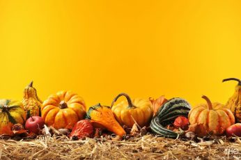 Thanksgiving Harvest Wallpaper 4k