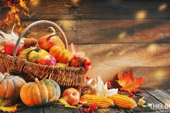 Thanksgiving Harvest Wallpapers