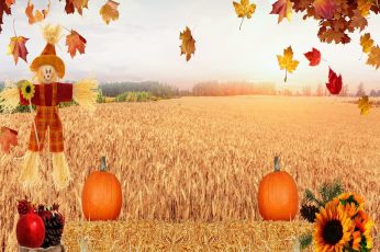 Thanksgiving Harvest cool wallpaper