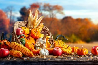 Thanksgiving Harvest wallpaper 5k