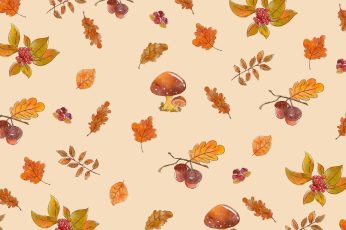 Thanksgiving Patterns Hd Wallpaper