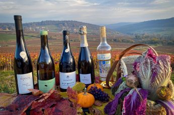 Thanksgiving Wine Wallpaper Photo